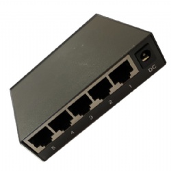 12V 5Prt 100M iron Switch