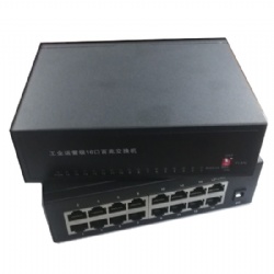 16Port VLAN FAST Switch